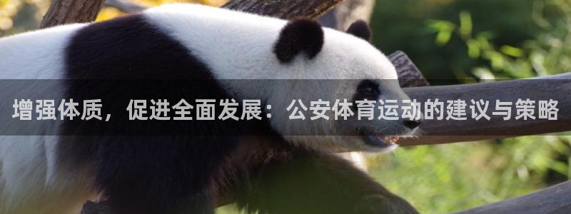 中欧体育集团