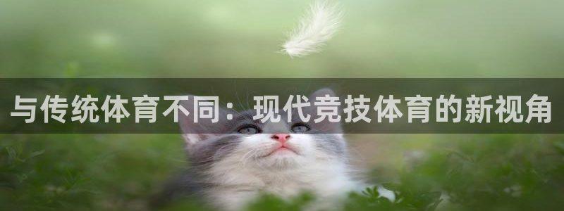 中欧体育下载