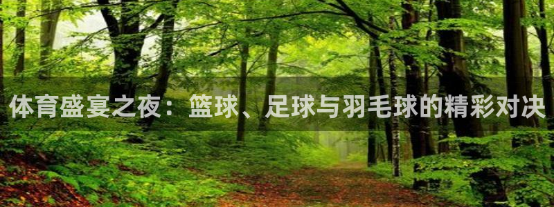 中欧体育网站：体育盛宴之夜：篮球、足球与羽毛球的精彩对决