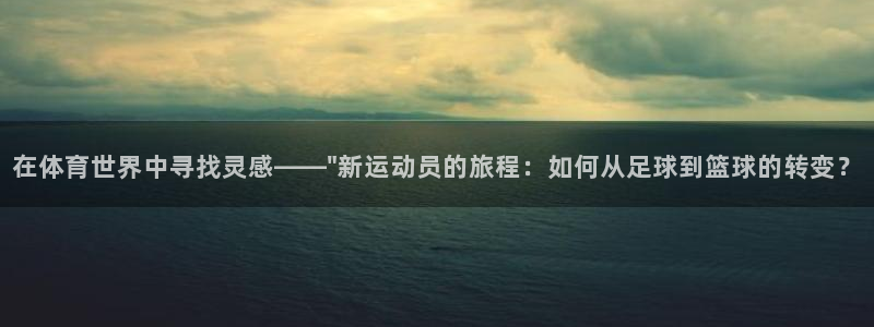 中欧体育官网