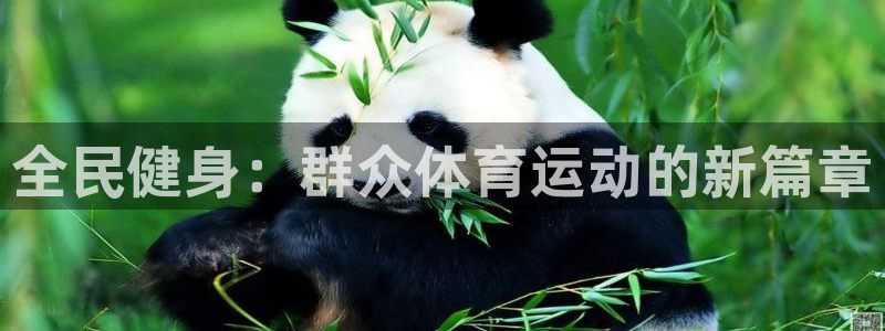 中欧体育集团：全民健身：群众体育运动的新篇章