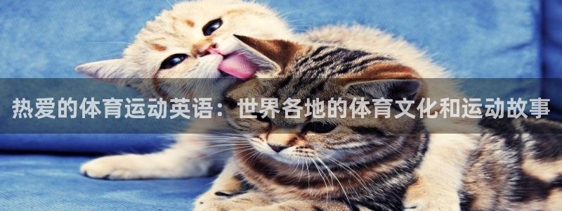中欧体育平台
