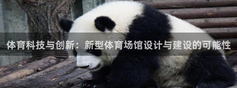 中欧体育全站app：体育科技与创新：新型体育场馆设计与建设的可能性