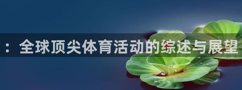 kok中欧体育登录：：全球顶尖体育活动的综述与展望