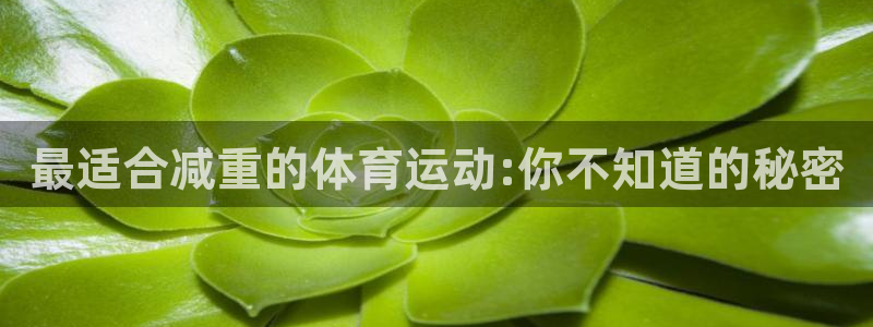 中欧体育集团：最适合减重的体育运动:你不知道的秘密