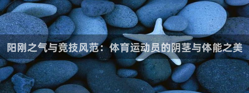 中欧体育下载