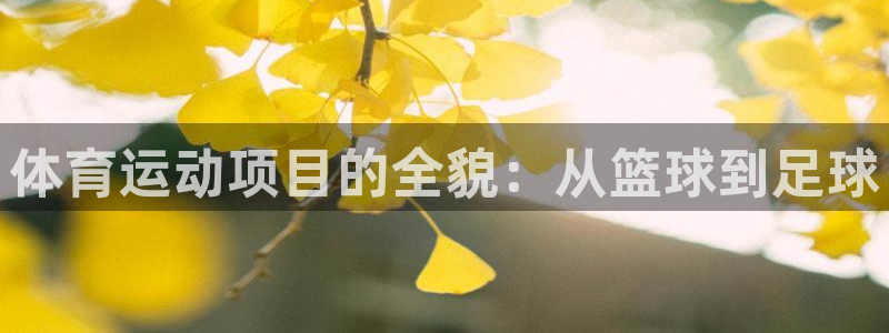 中欧体育集团