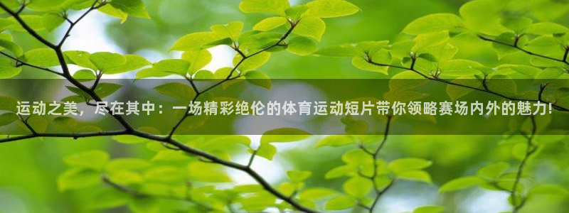中欧体育集团：运动之美，尽在其中：一场精彩绝伦的体育运动短片带你领略赛场内外的魅力!