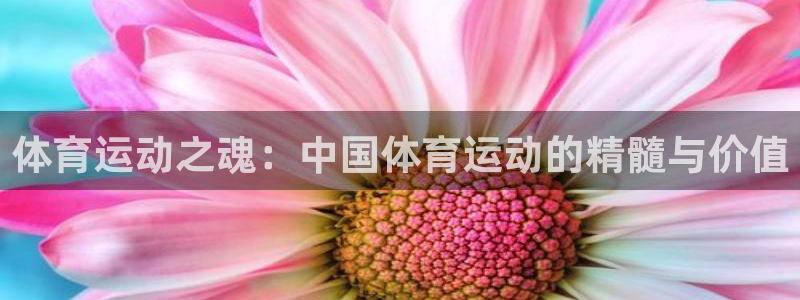 中欧体育ac米兰：体育运动之魂：中国体育运动的精髓与价值
