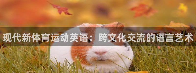 中欧体育：现代新体育运动英语：跨文化交流的语言艺术